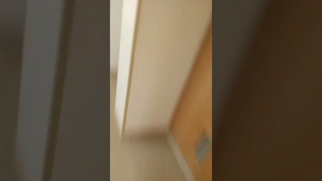 Я и Рома играем в прятки в театре смотреть онлайн