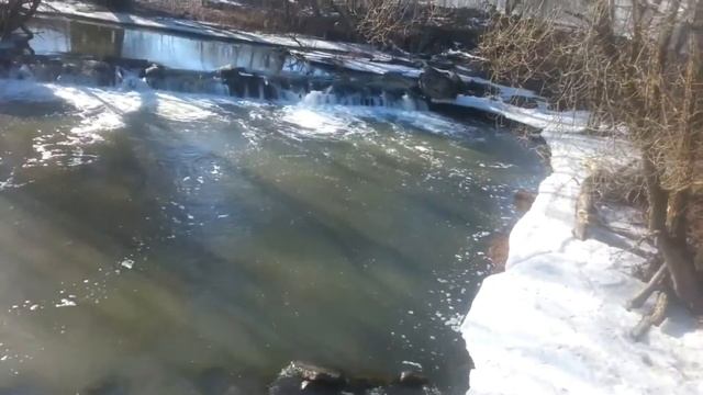 Прогулка на природе смотреть онлайн