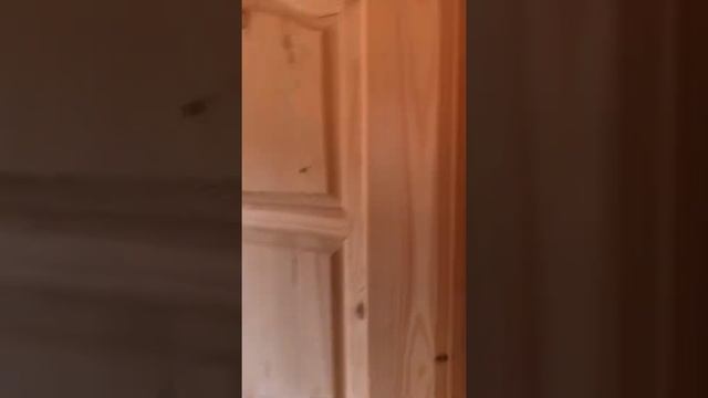 Внутри готовой бани 4х2.3 смотреть онлайн