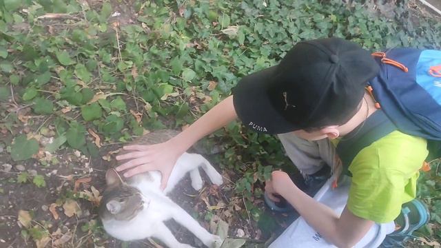 ДЕЛАЕМ СПА-ПРОЦЕДУРЫ КОТУ ЧЕЛЛЕНДЖ! смотреть онлайн