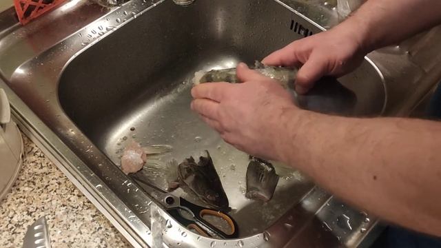 Легко и быстро как почистить судака от чешуи дома в домашних условиях смотреть онлайн