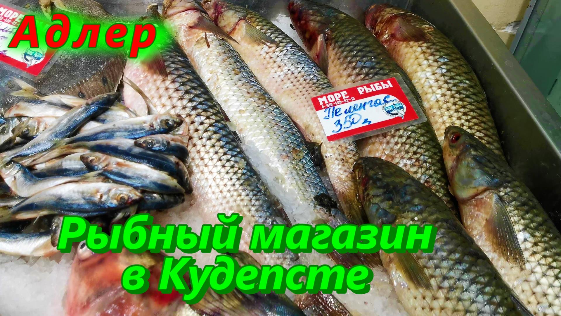 Рыбный магазин в Кудепсте Адлерского района города Сочи 2022