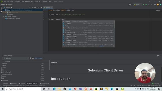 Setting up environment for selenium with python with any browser ! смотреть онлайн