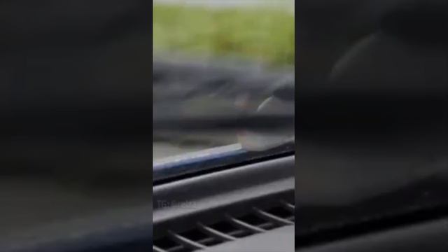 От лица улитки, она движется со скоростью света смотреть онлайн