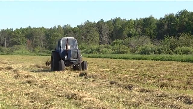 В Мамадышском районе горячая пора - сенокос смотреть онлайн