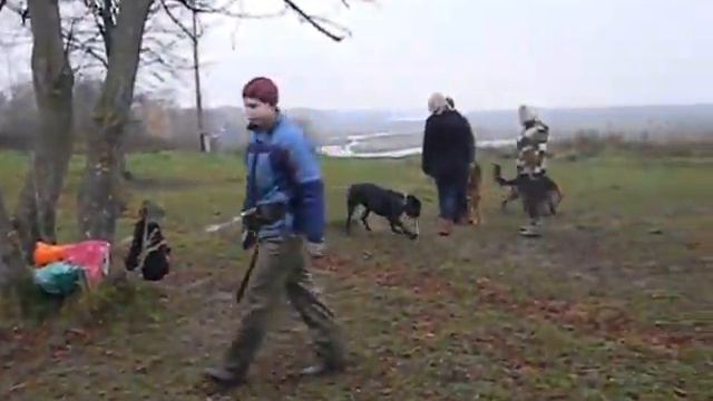 Видео, Площадка, Павлово, 21 окт 2012 года 002 смотреть онлайн