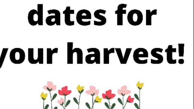 Your Harvest| Important time frames?? смотреть онлайн