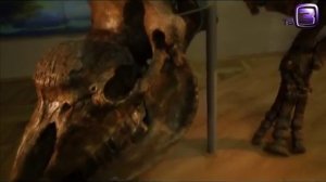 Нечисть  Видео  Единорог - "Энциклопедия мифов"