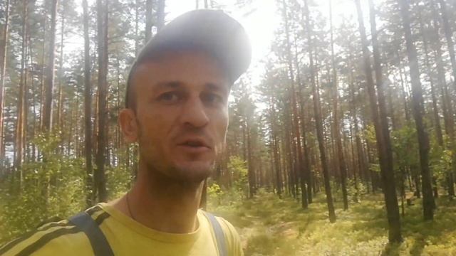 Сбор черники. Фортуна отвернулас!!! смотреть онлайн