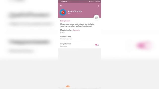 Hujjatlarni .pdf ga o'tkazuvchi Telegram bot смотреть онлайн