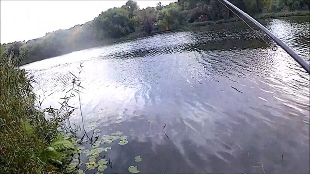 Ловля щуки на джиг, поведение щуки Выбор цвета и огрузки приманок смотреть онлайн