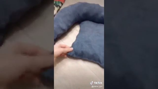 Лежанка для кота своими руками) смотреть онлайн