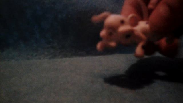 Милый далматинец