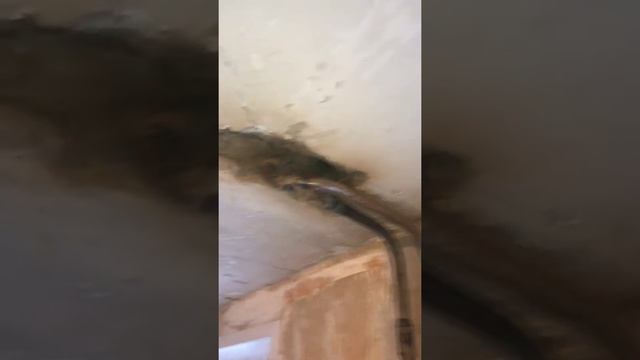 Перенос стояков отопления,установка нового радиатора. смотреть онлайн