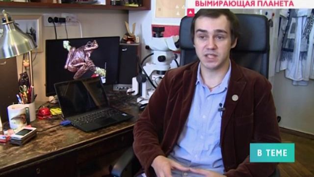 Вымирающие виды животных - на планете не осталось древесных лягушек раббса смотреть онлайн