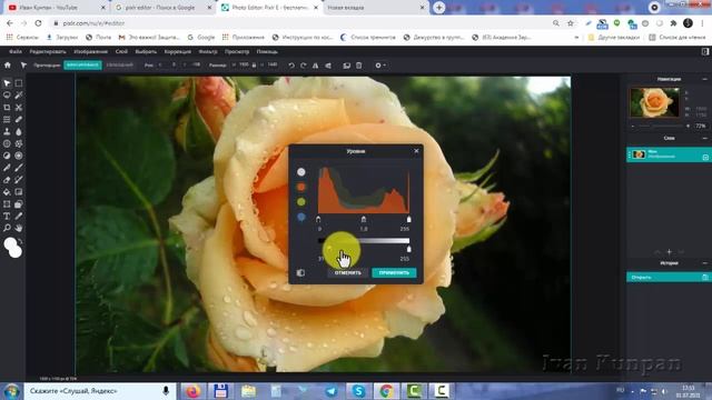 Pixlr Editor 2021, постеризация фотографий, инверсия и кривые смотреть онлайн