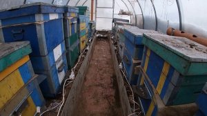 Подогрев пчёл зимой.