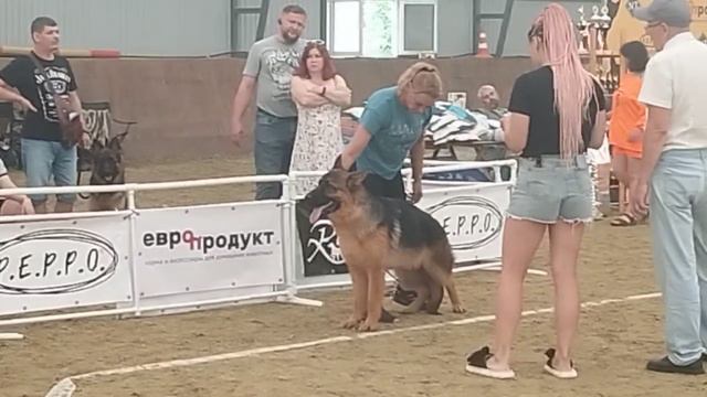 Подросток коб ст