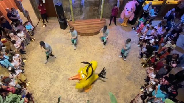 Angry Birds World "Latino" Live Show | Doha Festival City смотреть онлайн
