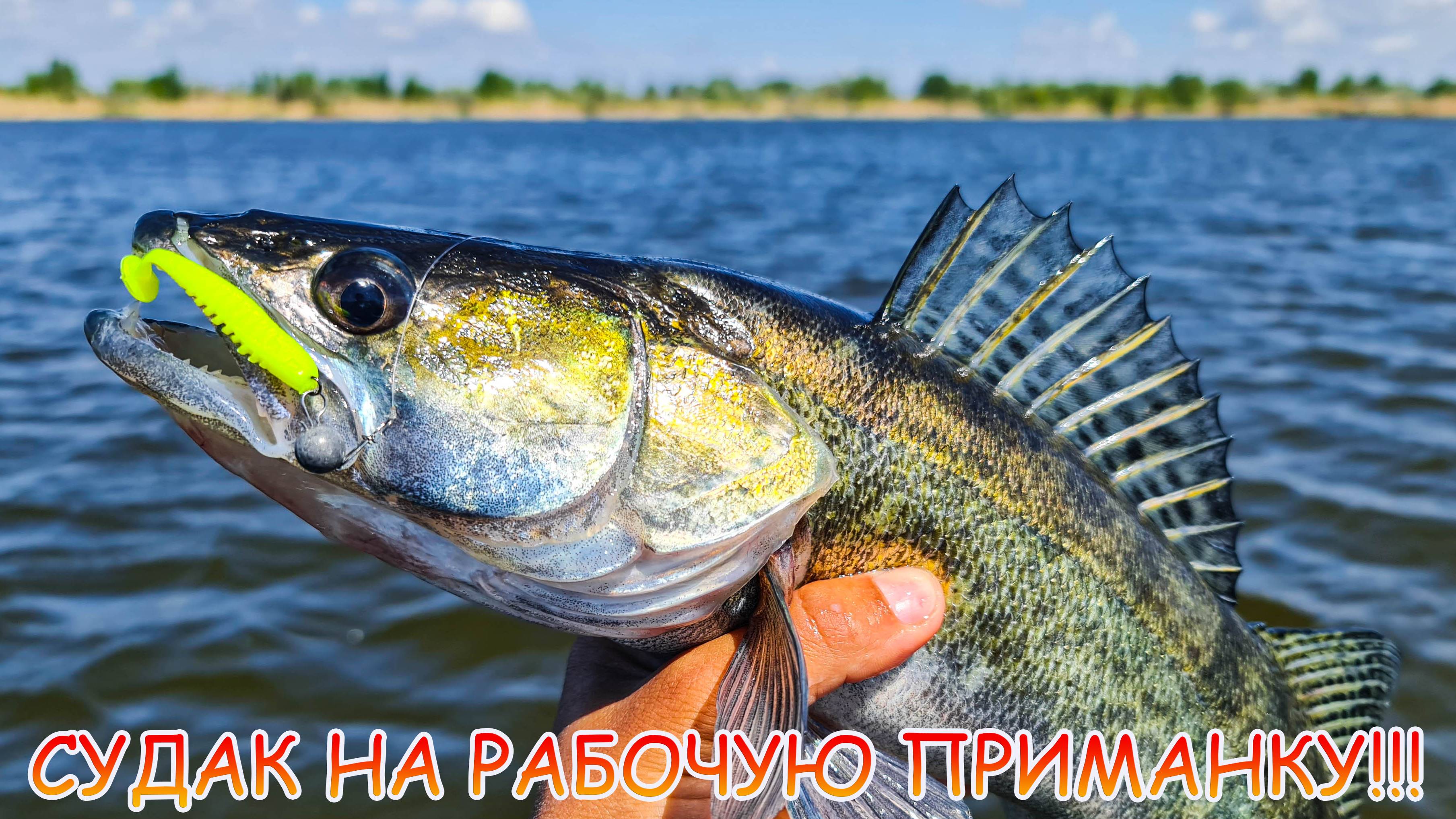 Где сейчас ловить судака? Джиг. Эта приманка ловит!!! смотреть онлайн