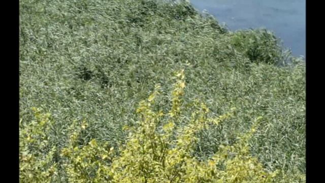 на зуевских холмах смотреть онлайн