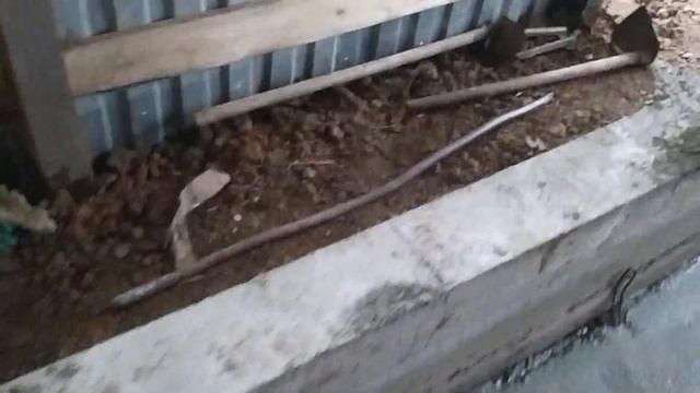 Стойло для Быков Коров,откорм КРС быков