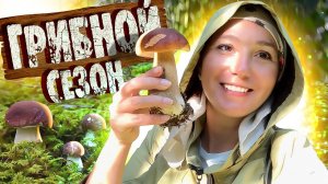 ГРИБЫ ПОШЛИ! Грибной сезон ОТКРЫТ / Сбор грибов в Лесу