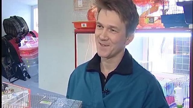 Совет. Уход за хомяками смотреть онлайн