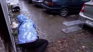 Как словить дикую кошку, которая не идёт в котоловку / Дополнительный способ - Клетка
