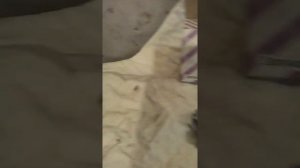 помпа гранта 16 клапанов фл