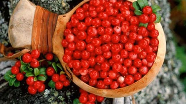 Выращивание Клюквы как бизнес идея смотреть онлайн