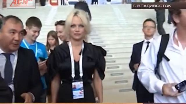 "Спасительница" животных смотреть онлайн