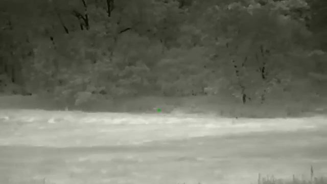 Hunting with Rico RL42 смотреть онлайн