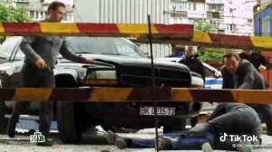 Пёс Макс упал с этожа