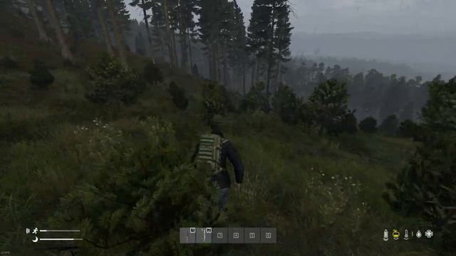 DayZ AMD FX 4300 + AMD Radeon RX 570 смотреть онлайн