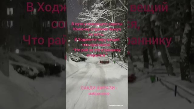 СААДИ ШИРАЗИ избранное смотреть онлайн