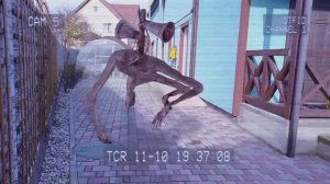 Кузя и Бузя Следят за Монстрами!