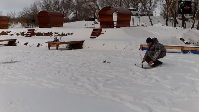 Платная рыбалка по льду пруд "Чёрные камни" 02.01.20г. Зимняя рыбалка на форель. смотреть онлайн