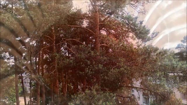 Кулинарные Путешествия по Гастрономическим Культурам