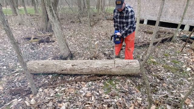 Westcoast Saw Bark Box Upgrade On Holzfforma Farmertec G466 (stihl 460/046)