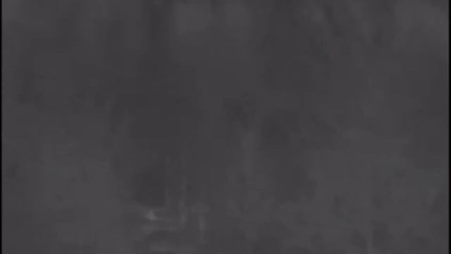 ОХОТА НА ЛОСЯ НА ВАБУ 2023г. АДРЕНАЛИН НА ПРЕДЕЛЕ.#охотаналосянавабу#охотанареву#лось#охота#ваба смотреть онлайн