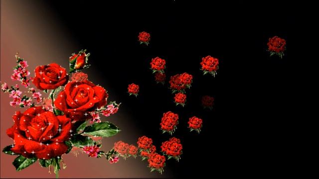 ФУТАЖ с розами смотреть онлайн