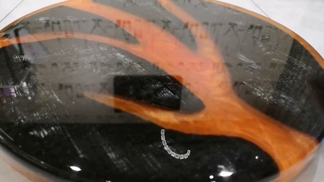 крутящийся поднос смотреть онлайн