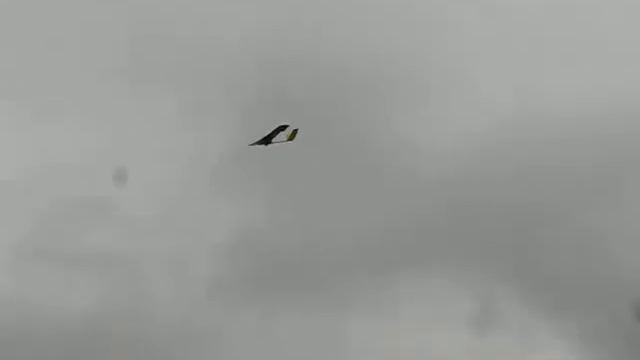 видео полета на Беркуте.avi смотреть онлайн