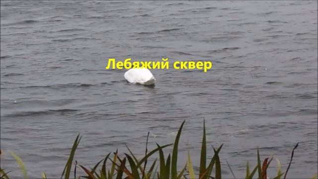 Город Себеж смотреть онлайн