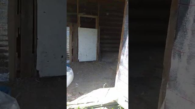 Дача. Посадников остров. смотреть онлайн
