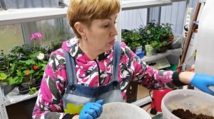 ОТЛИЧНЫЙ ГРУНТ почвобрикет или  АГРОБАЛТ