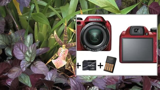 Fujifilm FinePix S4500 смотреть онлайн