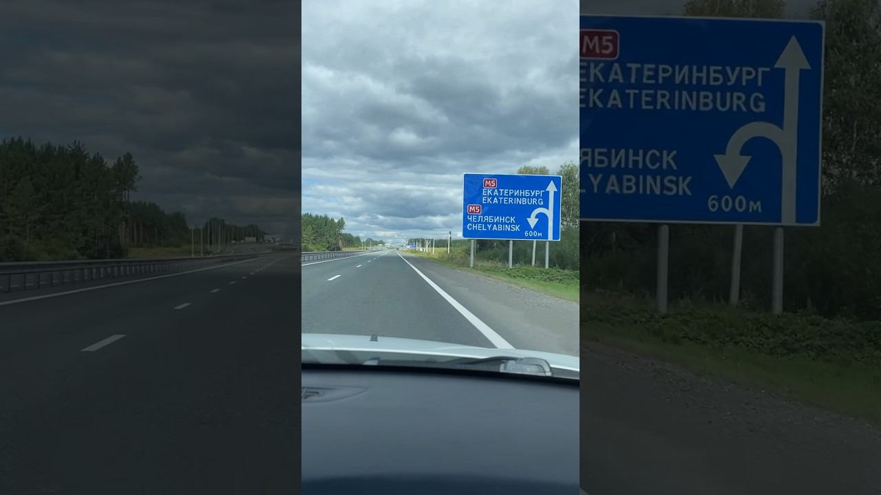 В ЕКБ #vlog #belka #live #shorts смотреть онлайн