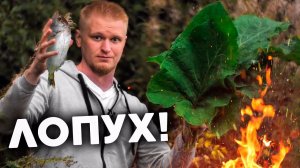 Дорада в лопухах